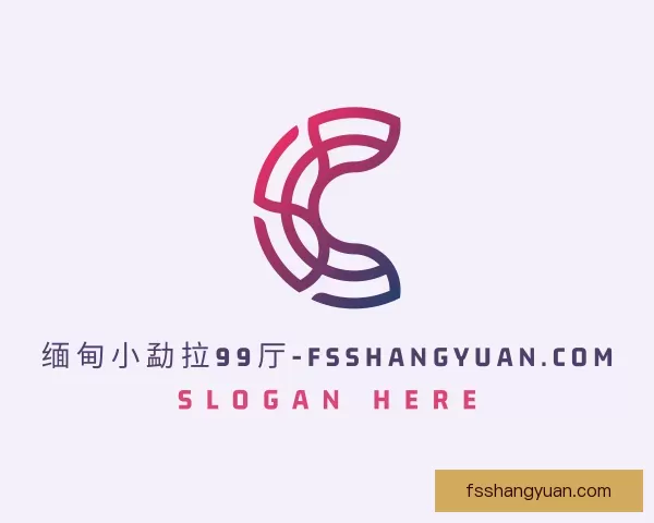 了解波动缅甸小勐拉99厅